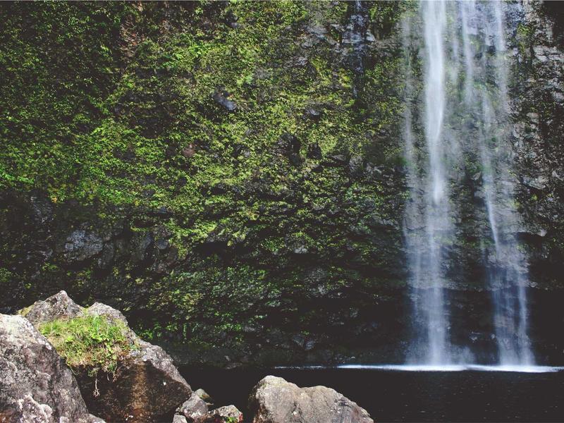 sudoku scanning technique screenshot 1